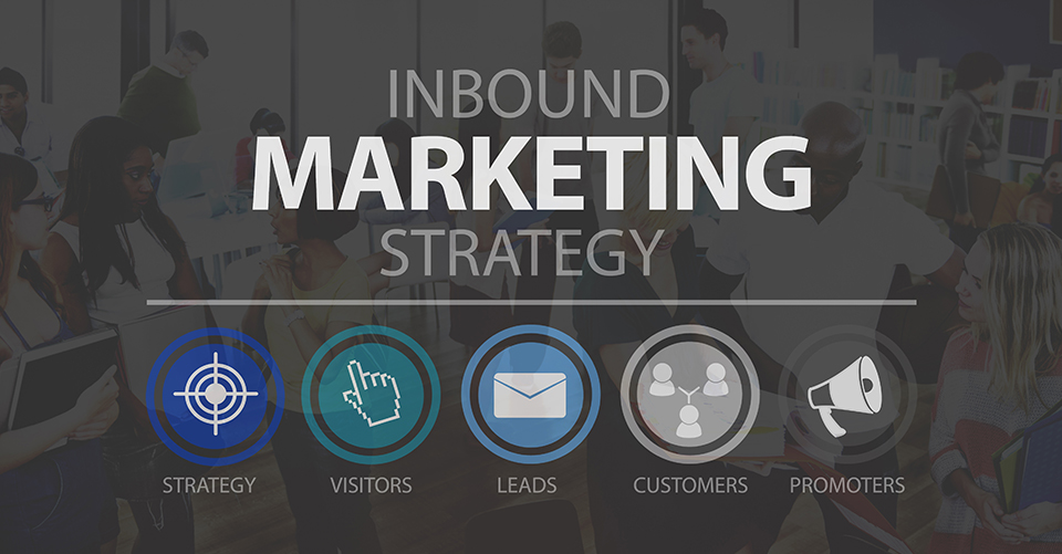 Why Infographics Plays A Major Role In SEO?