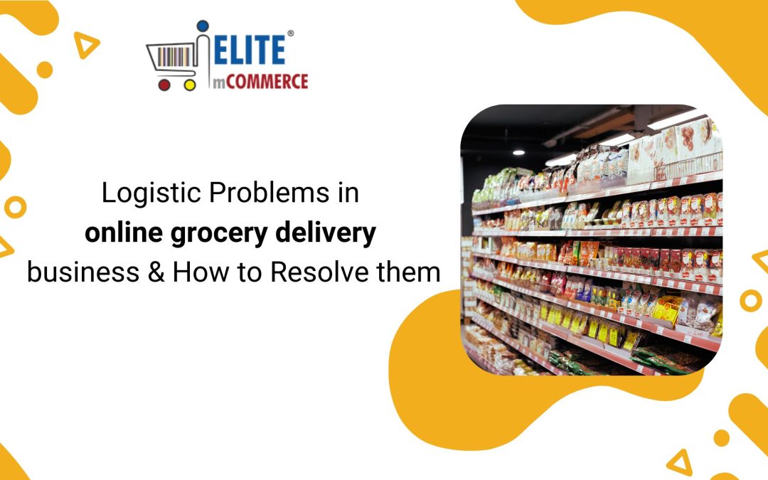 Logistic Problems in online grocery delivery business & How to Resolve them