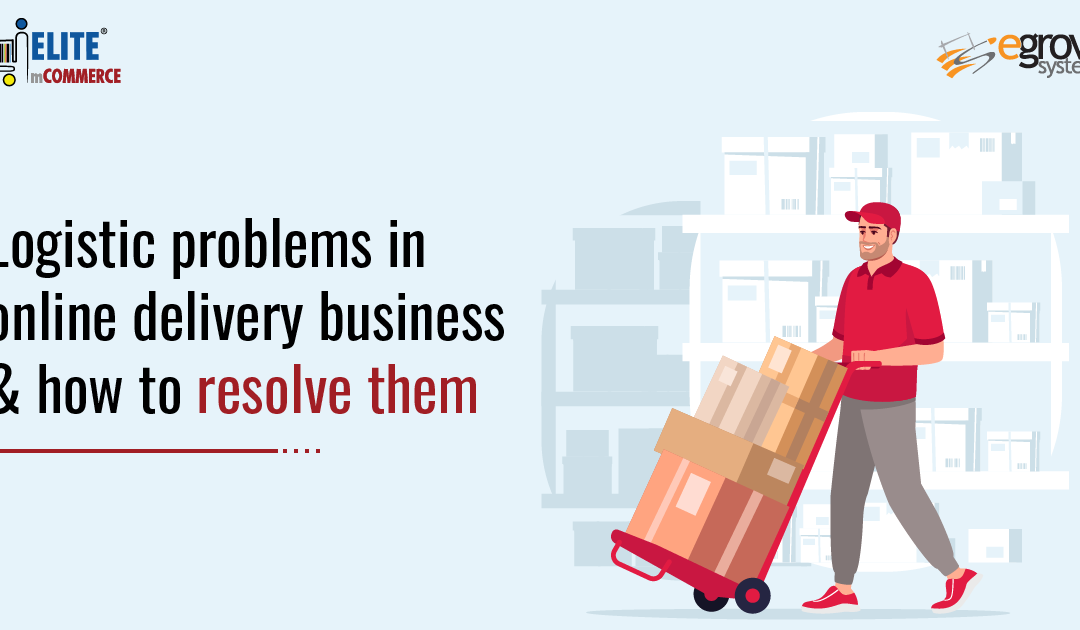 Logistics Problems in Online Delivery Businesses and Ways to Solve Them
